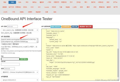 淘宝京东1688以图搜图,按图搜索商品,api接口调用展示 拍立淘api 返回值说明